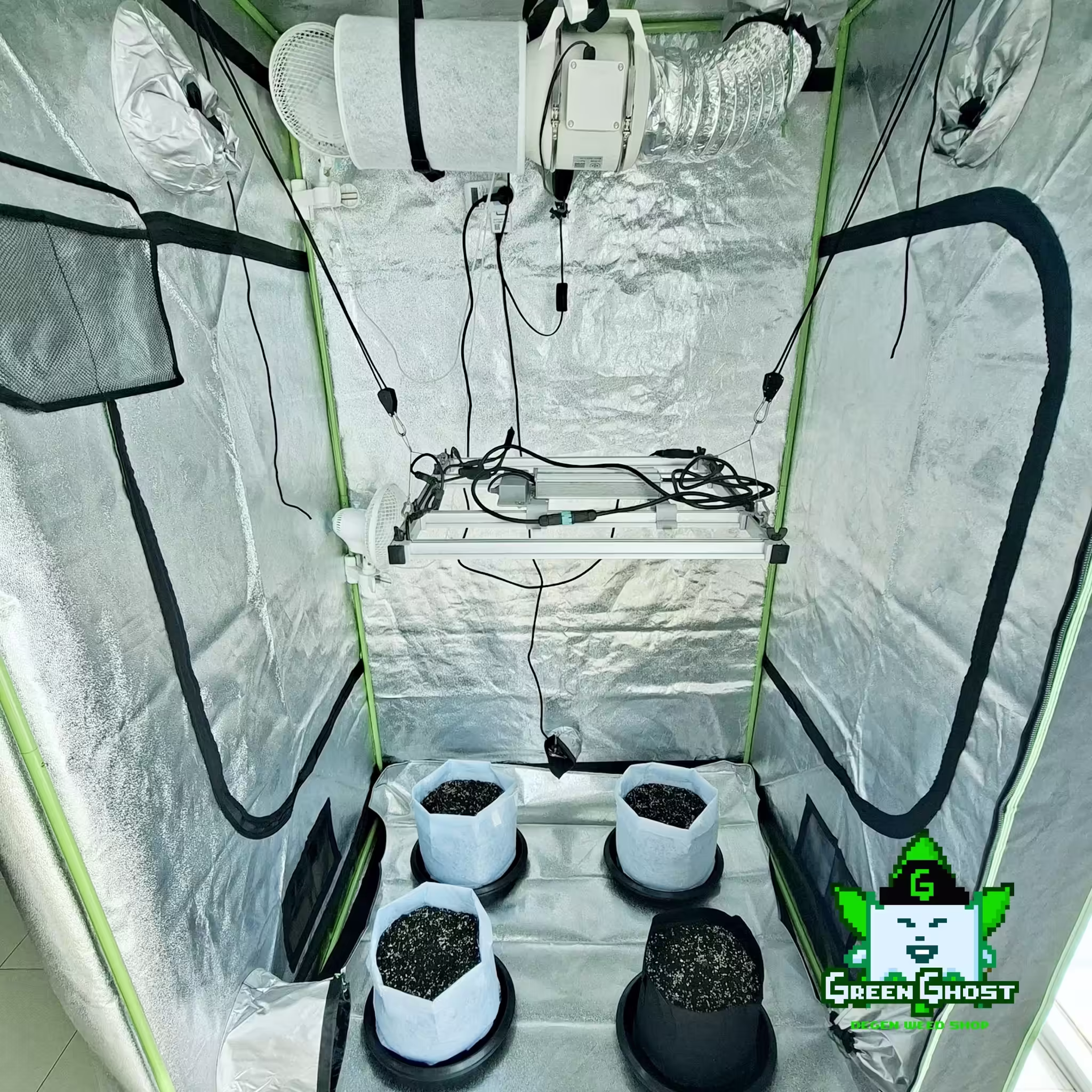 Our Green Ghost Garden 1